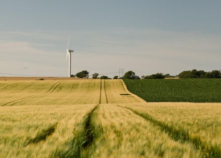 skane landsbygd